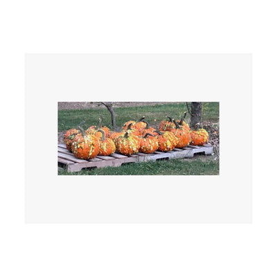 "Pumpkin Patch" Print by B