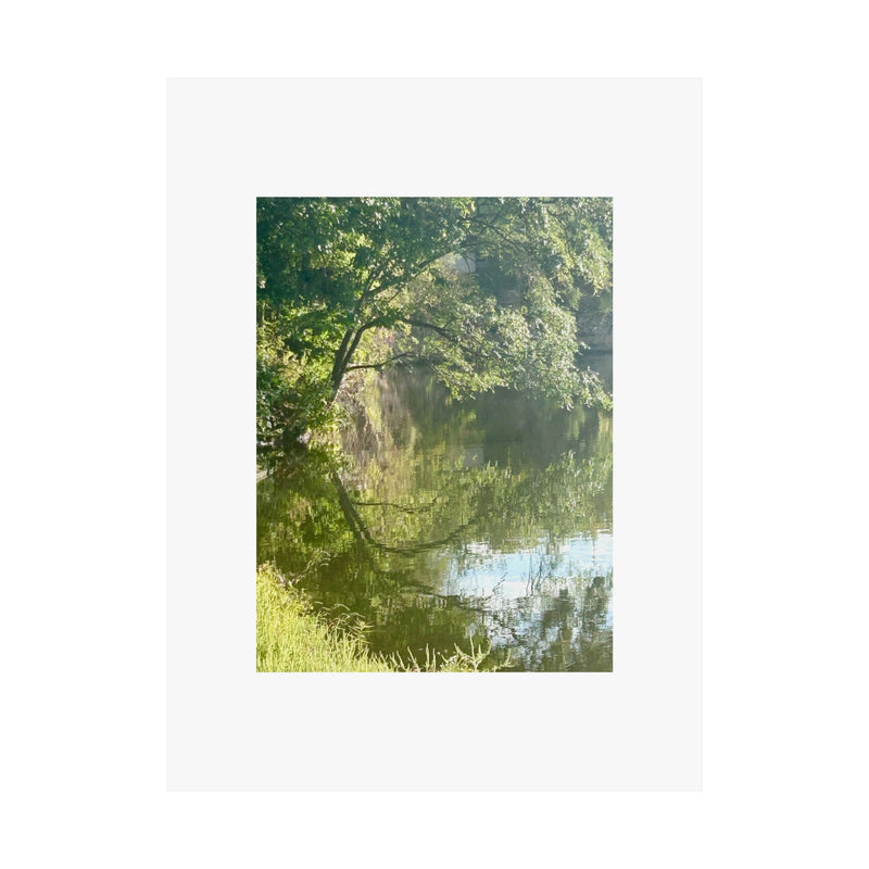 "Reflection" Print by B