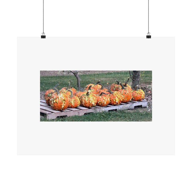 "Pumpkin Patch" Print by B