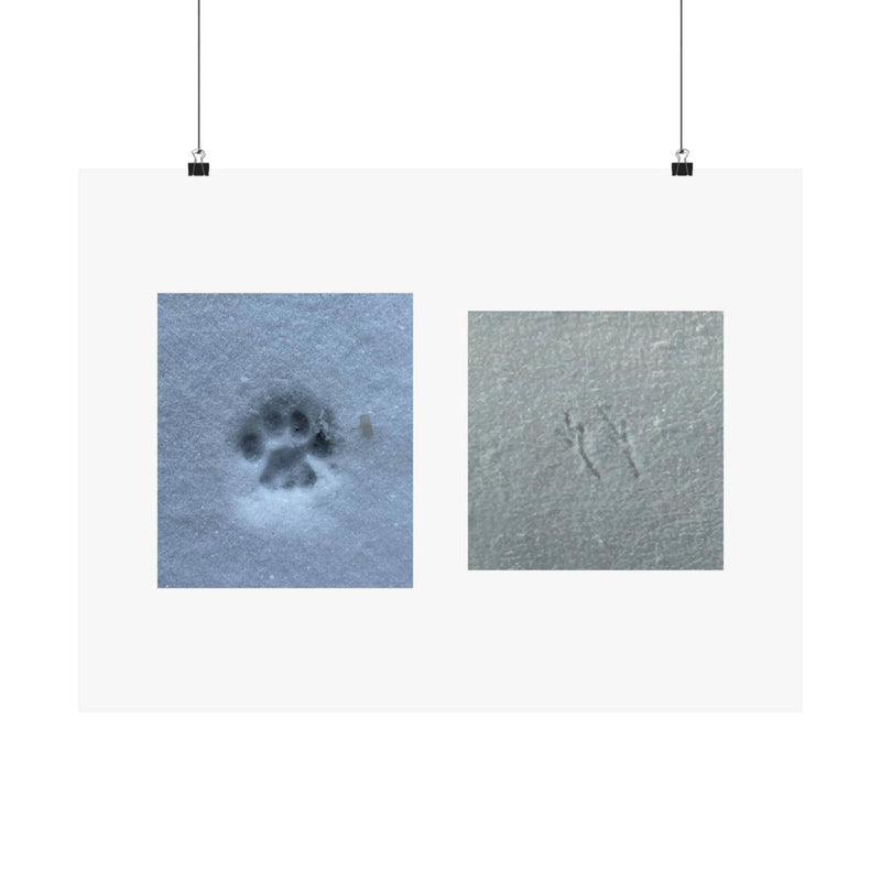 "Snow Prints (Abbey and Bird)" Print by B