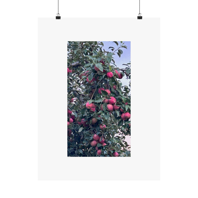 "Orchard" Print by B